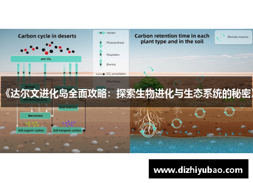 《达尔文进化岛全面攻略：探索生物进化与生态系统的秘密》